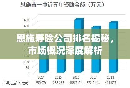 恩施寿险公司排名揭秘，市场概况深度解析