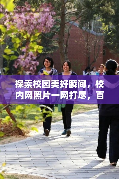 探索校园美好瞬间，校内网照片一网打尽，百度来搜！