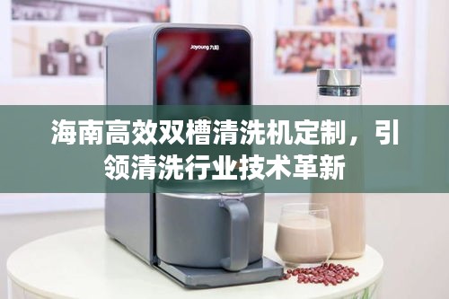 海南高效双槽清洗机定制，引领清洗行业技术革新