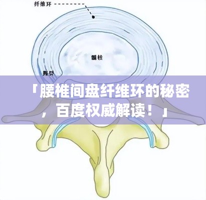 「腰椎间盘纤维环的秘密，百度权威解读！」