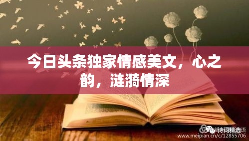 今日头条独家情感美文，心之韵，涟漪情深