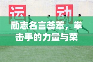 励志名言荟萃，拳击手的力量与荣耀之路