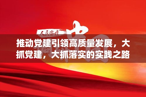 推动党建引领高质量发展，大抓党建，大抓落实的实践之路