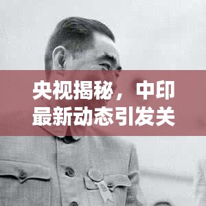 央视揭秘，中印最新动态引发关注，突发新闻一览无余