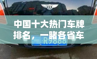 中国十大热门车牌排名，一睹各省车牌风采！