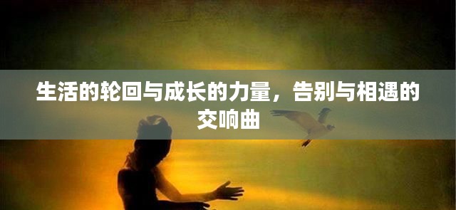 生活的轮回与成长的力量，告别与相遇的交响曲