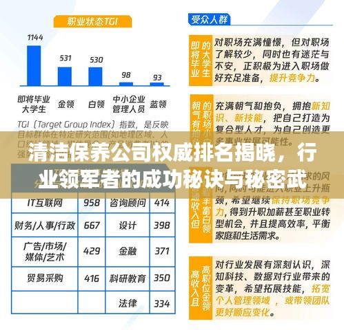 清洁保养公司权威排名揭晓，行业领军者的成功秘诀与秘密武器