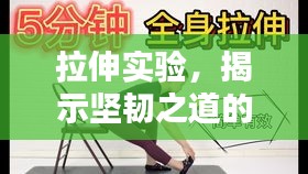 拉伸实验，揭示坚韧之道的持久耐力挑战