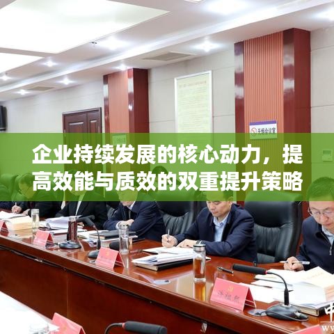 企业持续发展的核心动力，提高效能与质效的双重提升策略