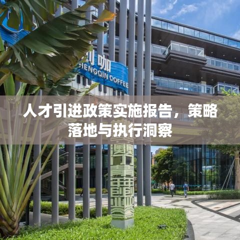 人才引进政策实施报告，策略落地与执行洞察