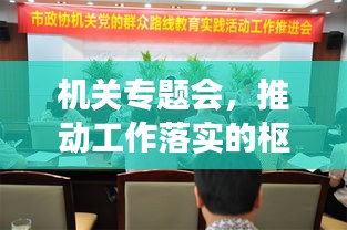 机关专题会，推动工作落实的枢纽环节，助力高效执行！