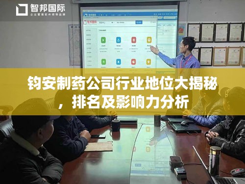 钧安制药公司行业地位大揭秘，排名及影响力分析