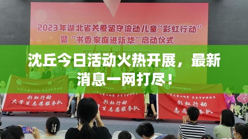沈丘今日活动火热开展，最新消息一网打尽！