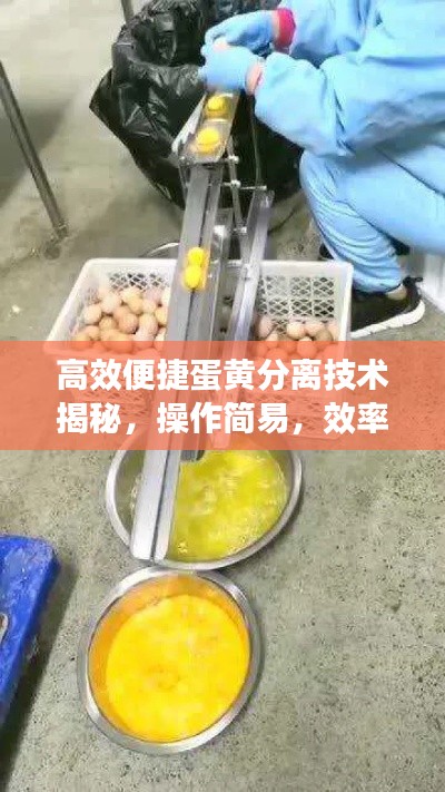 高效便捷蛋黄分离技术揭秘，操作简易，效率惊人提升！