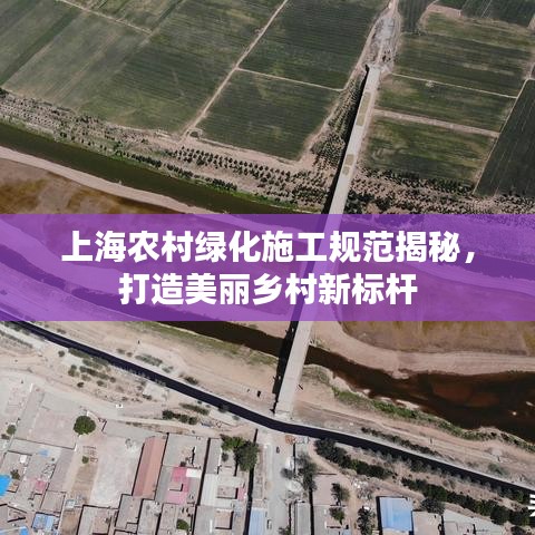 上海农村绿化施工规范揭秘，打造美丽乡村新标杆