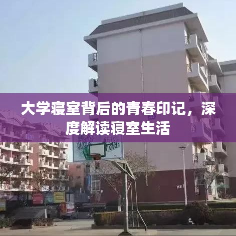 大学寝室背后的青春印记，深度解读寝室生活