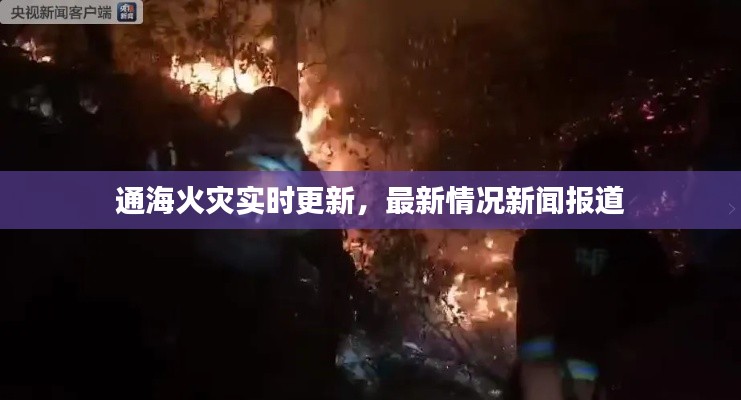通海火灾实时更新，最新情况新闻报道