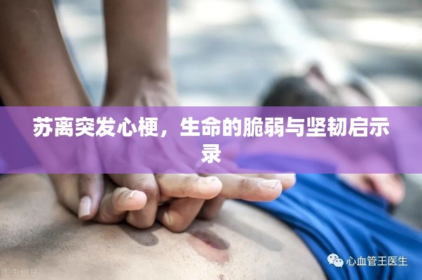 橘虞初梦 第2页