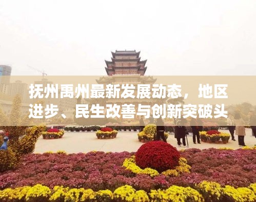 抚州禹州最新发展动态，地区进步、民生改善与创新突破头条新闻
