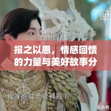 报之以恩，情感回馈的力量与美好故事分享