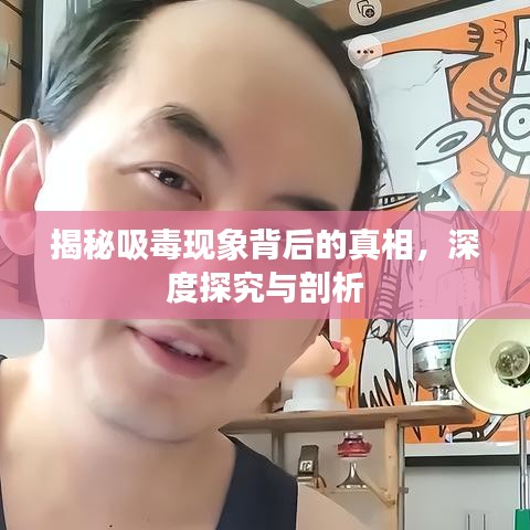 揭秘吸毒现象背后的真相，深度探究与剖析