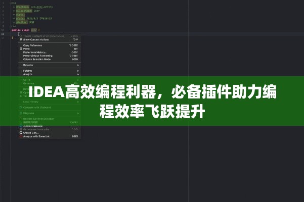 IDEA高效编程利器，必备插件助力编程效率飞跃提升