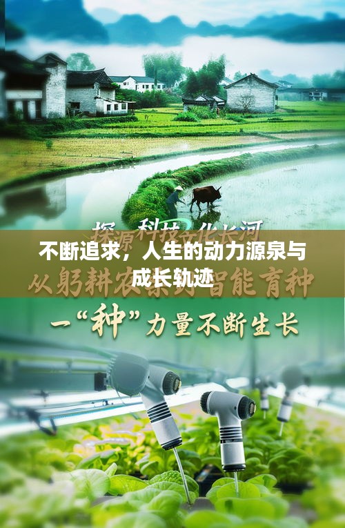 不断追求，人生的动力源泉与成长轨迹