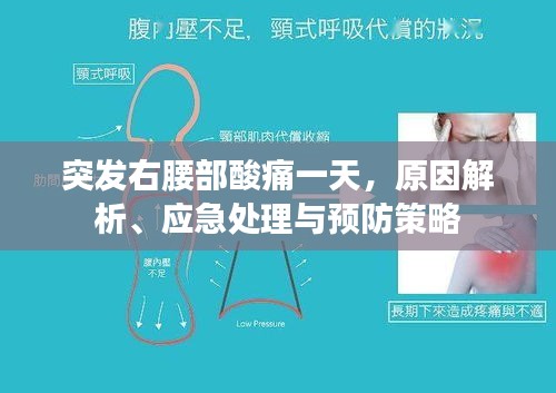 突发右腰部酸痛一天，原因解析、应急处理与预防策略