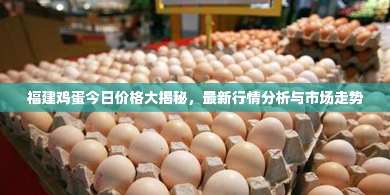 福建鸡蛋今日价格大揭秘，最新行情分析与市场走势