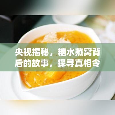 央视揭秘，糖水燕窝背后的故事，探寻真相令人震撼！