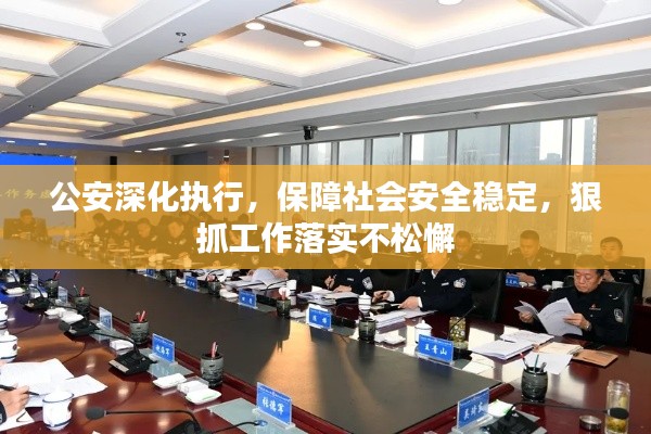 公安深化执行，保障社会安全稳定，狠抓工作落实不松懈