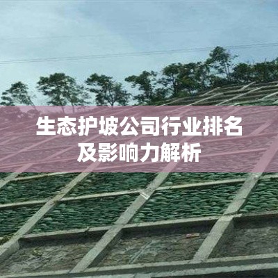 生态护坡公司行业排名及影响力解析