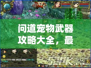 问道宠物武器攻略大全，最新指南助你轻松掌握！