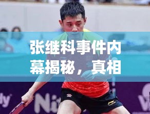 张继科事件内幕揭秘，真相与影响深度报道视频全解析