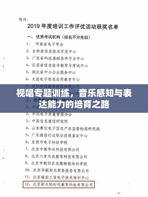 视唱专题训练，音乐感知与表达能力的培育之路