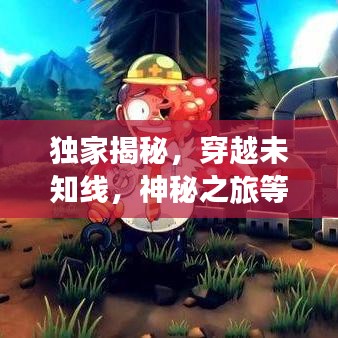 独家揭秘，穿越未知线，神秘之旅等你探索