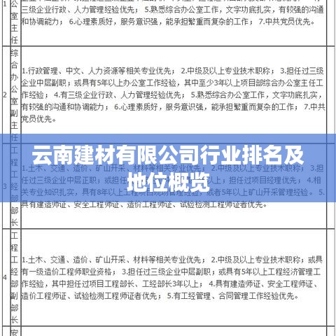 云南建材有限公司行业排名及地位概览