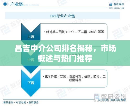 昌吉中介公司排名揭秘，市场概述与热门推荐