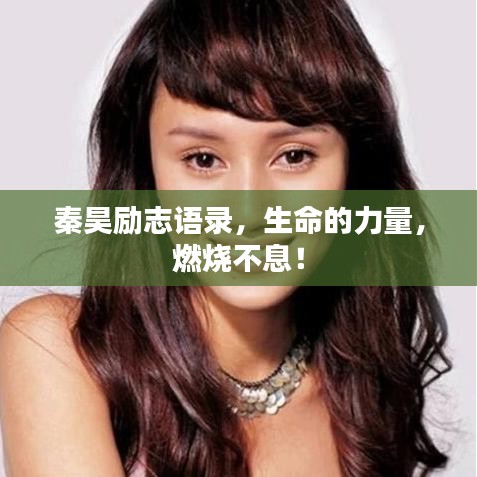秦昊励志语录，生命的力量，燃烧不息！