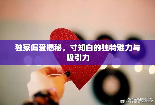 独家偏爱揭秘，寸知白的独特魅力与吸引力