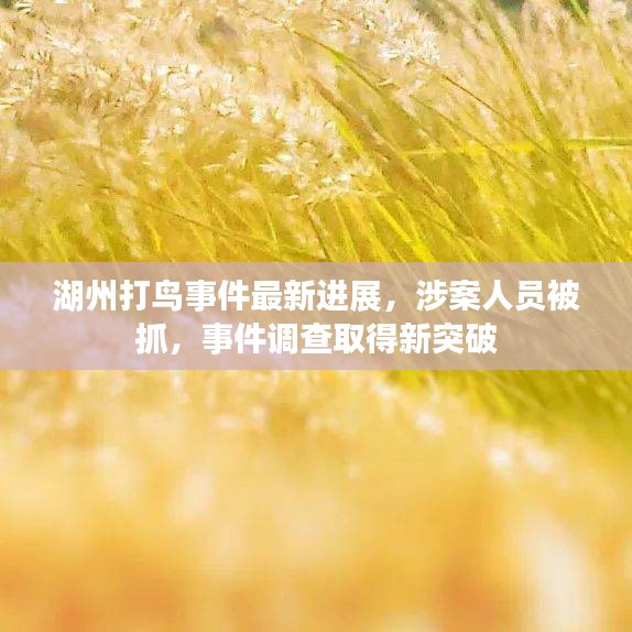 湖州打鸟事件最新进展，涉案人员被抓，事件调查取得新突破