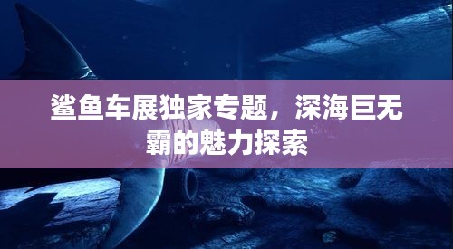 鲨鱼车展独家专题，深海巨无霸的魅力探索