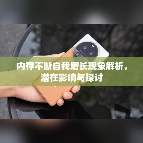 内存不断自我增长现象解析，潜在影响与探讨