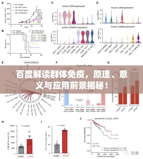 百度解读群体免疫，原理、意义与应用前景揭秘！