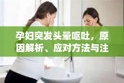 轻飞曼舞 第2页