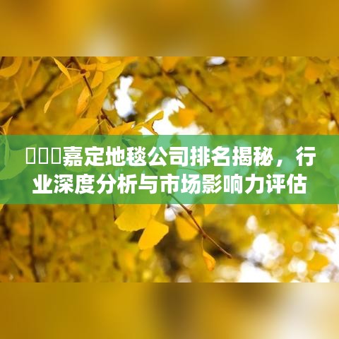 ​​​嘉定地毯公司排名揭秘，行业深度分析与市场影响力评估报告​​​​