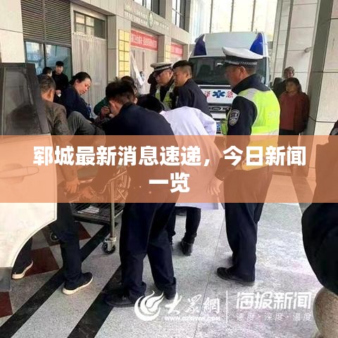 郓城最新消息速递，今日新闻一览
