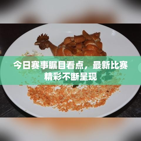 今日赛事瞩目看点，最新比赛精彩不断呈现