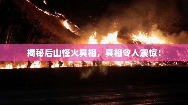 揭秘后山怪火真相，真相令人震惊！