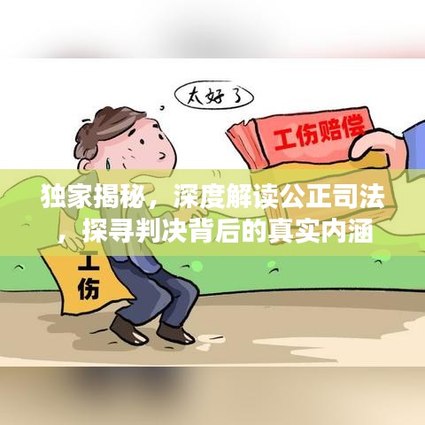 独家揭秘，深度解读公正司法，探寻判决背后的真实内涵